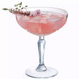 pinkitydrinkity
